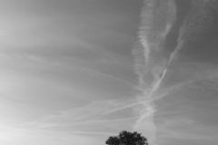 IMG_8852_bw