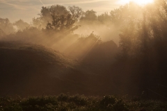 mist_8870-scaled